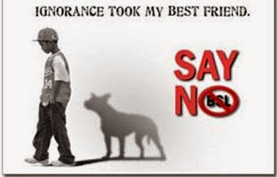 JUST SAY NO TO BSL