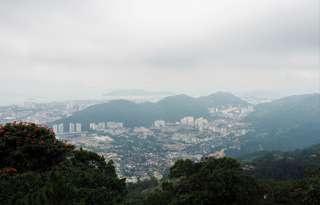 Photos Around Penang Street Food Festival Not So Purrfect Picture