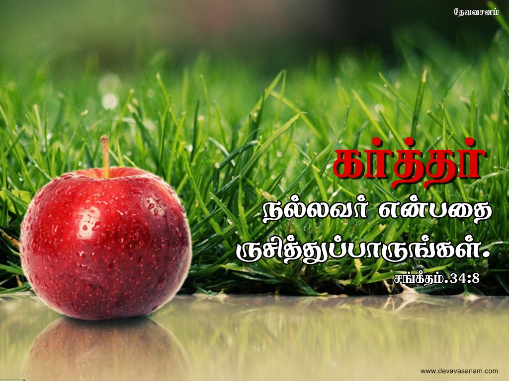 Tamil Bible Verse Desktop Wallpapers Download