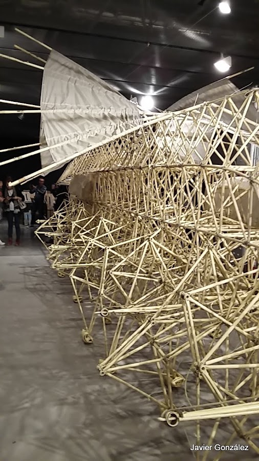 Exposición Exhibition Fundación Telefónica. 