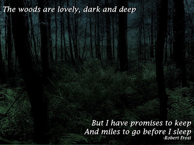 The woods are lovely, dark and deep but I have promises to keep and miles to go before I sleep