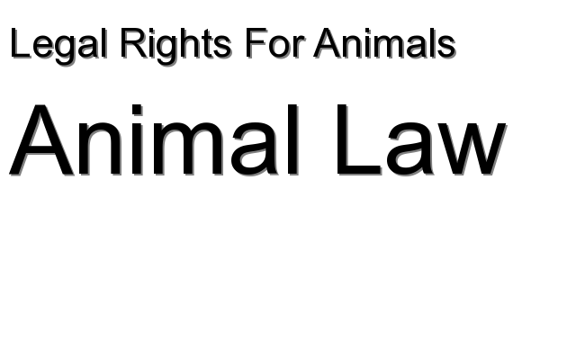 Animal Law - Legal Rights For Animals