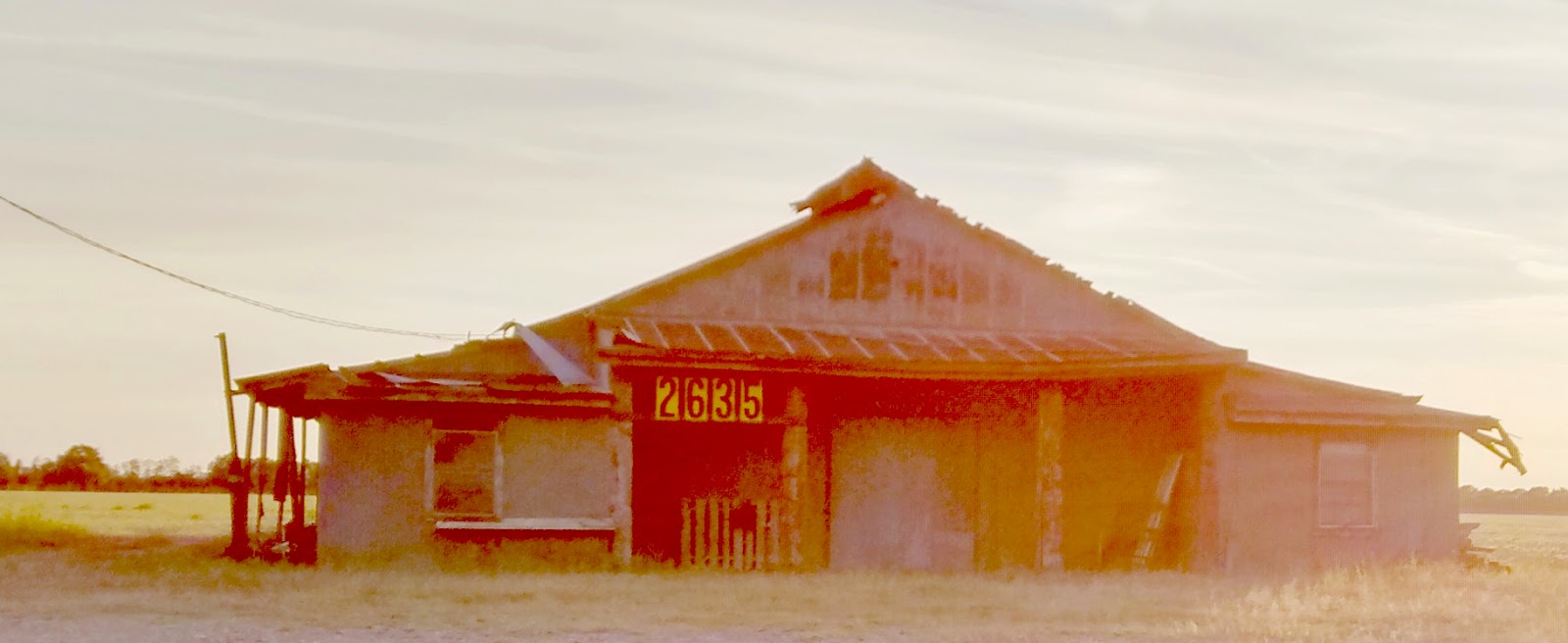 Living Rootless Louisiana Plaisance 2635 at Sunset
