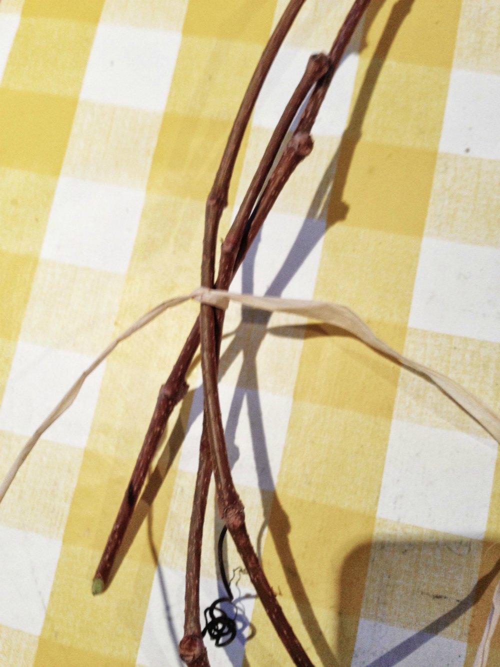 How to make a Christmas Wreath