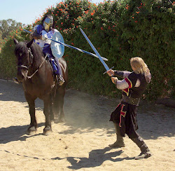knight sword medieval facts fighting century armor combat jeri westerson jungle interesting fourteenth hands guest writers