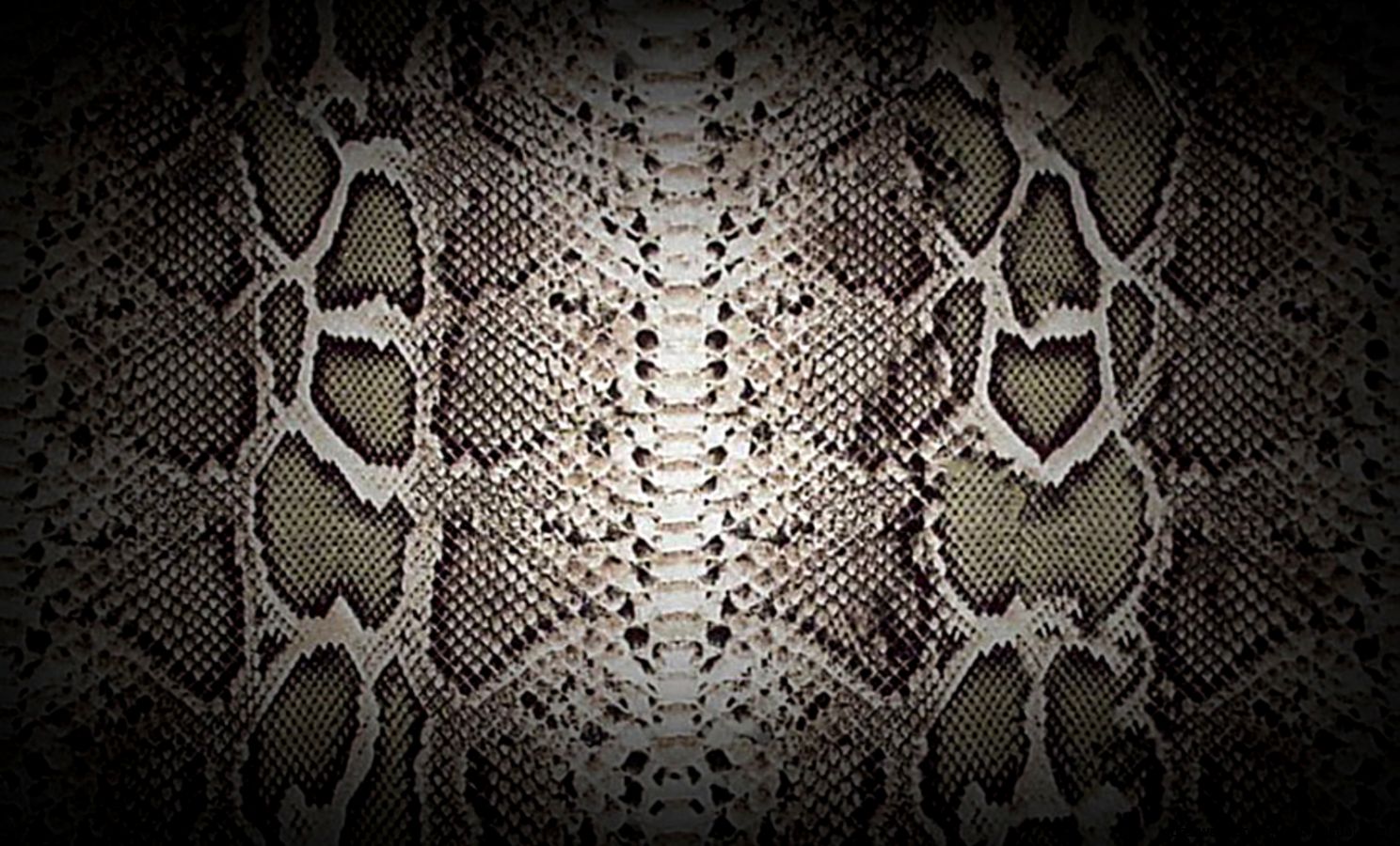 Snake Skin Wallpaper   Srau Home Designs