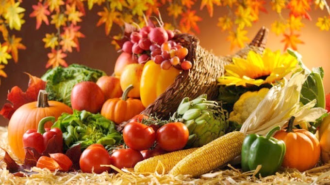 Sonbahar renklerine uygun besinlerle sağlık kazanın