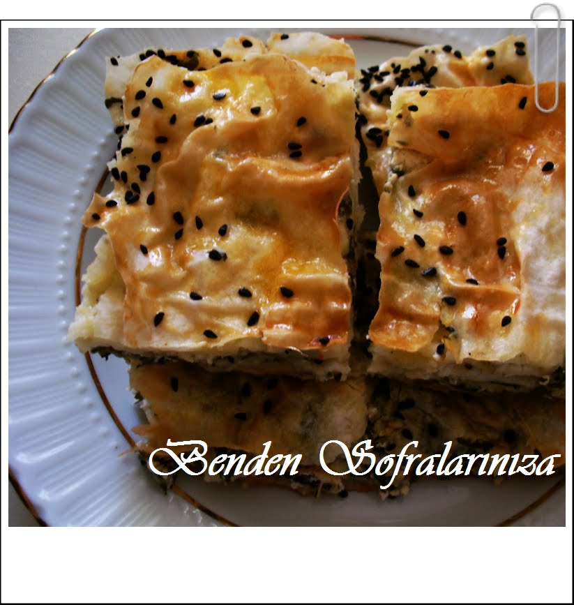 Pazılı Sodalı Börek