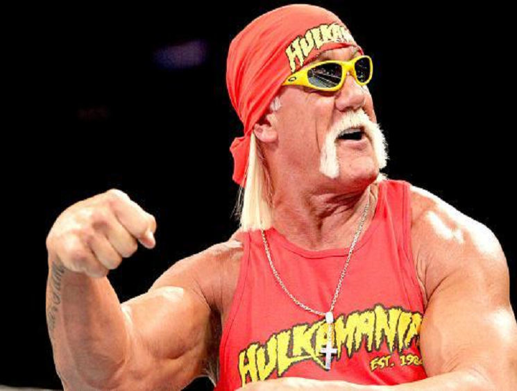 Hulk Hogan Hd Free Wallpapers | WWE HD WALLPAPER FREE DOWNLOAD