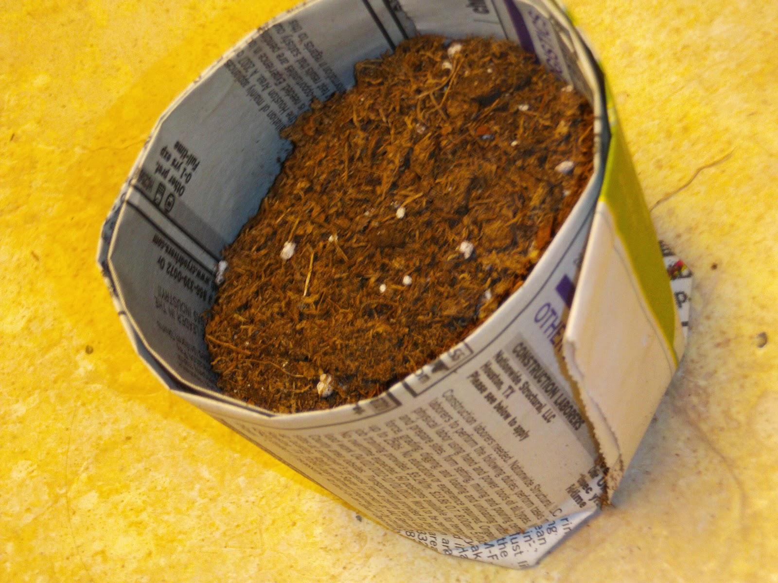 Yellow Spot Sun Newspaper Seed Cups