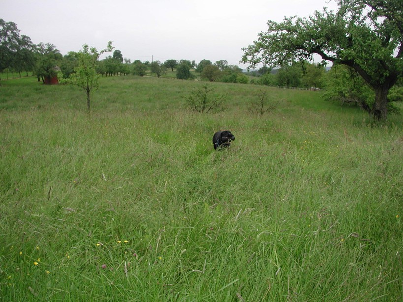 Tierisches Gewusel 06/01/2013 07/01/2013