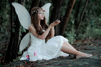 The Butterfly a poem about a beautiful woman who is so kind and afraid of love