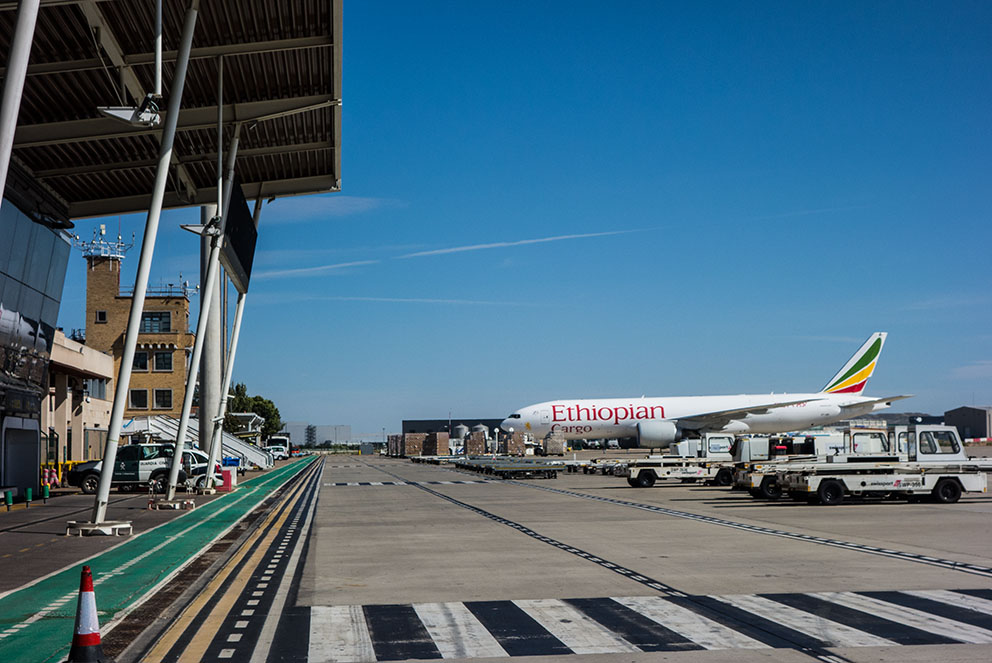 El Zaragonés El aeropuerto de Zaragoza, debe ampliar el número de El Zaragonés El aeropuerto de Zaragoza, debe ampliar el número de