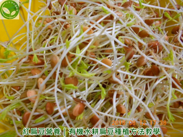 ��,����,���󨧮Ʋz,���󨧭���,������i,�󨧭],���,�󨧪�,�󨧺ش�,�󨧭��̶R