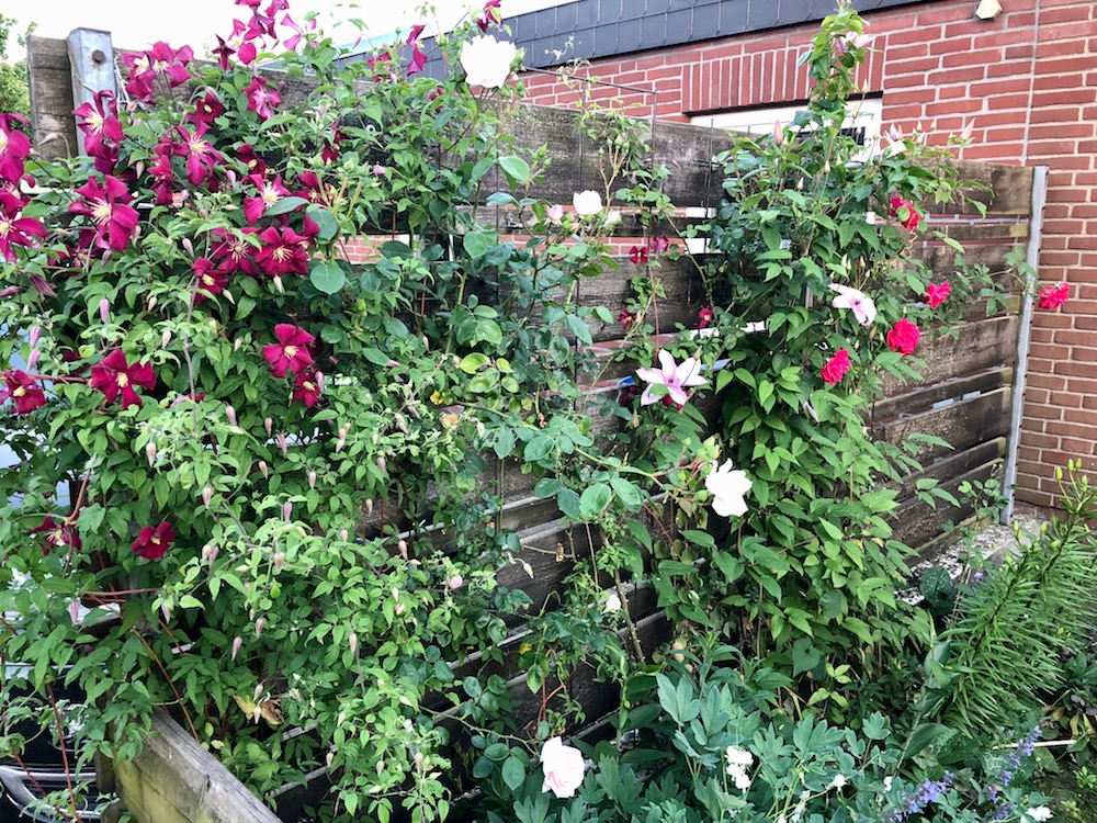 Vorher-Nachher: der Vorgarten - Sunnys Haus