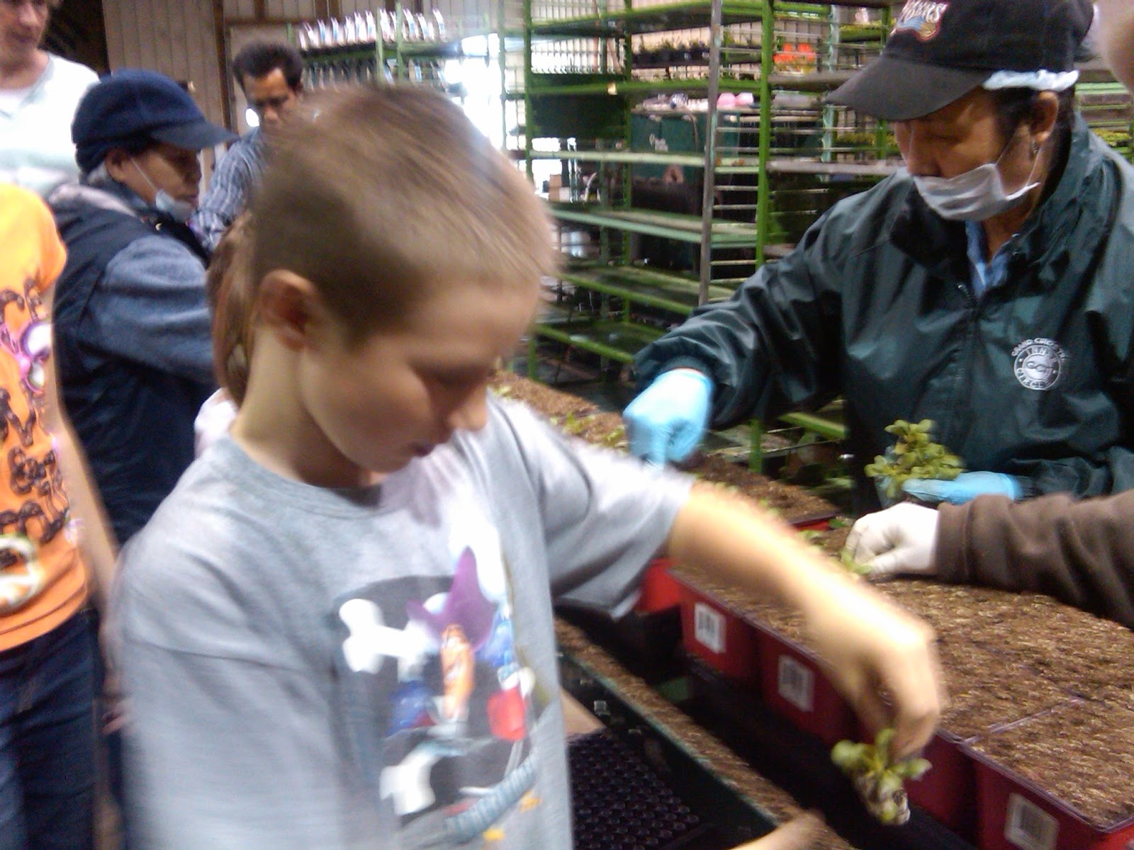 Dan Schantz Greenhouse and Cut Flower Outlet