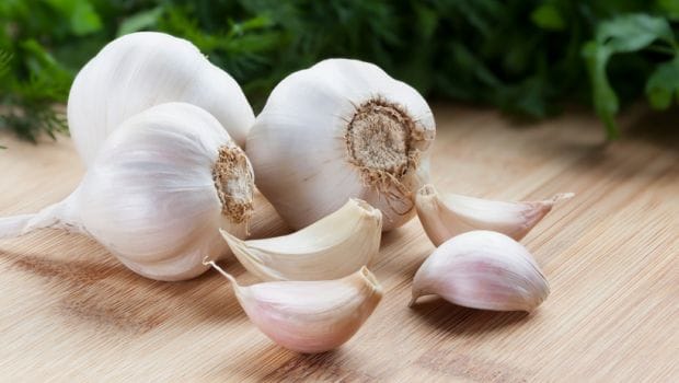 Some Amazing Benefits of Garlic