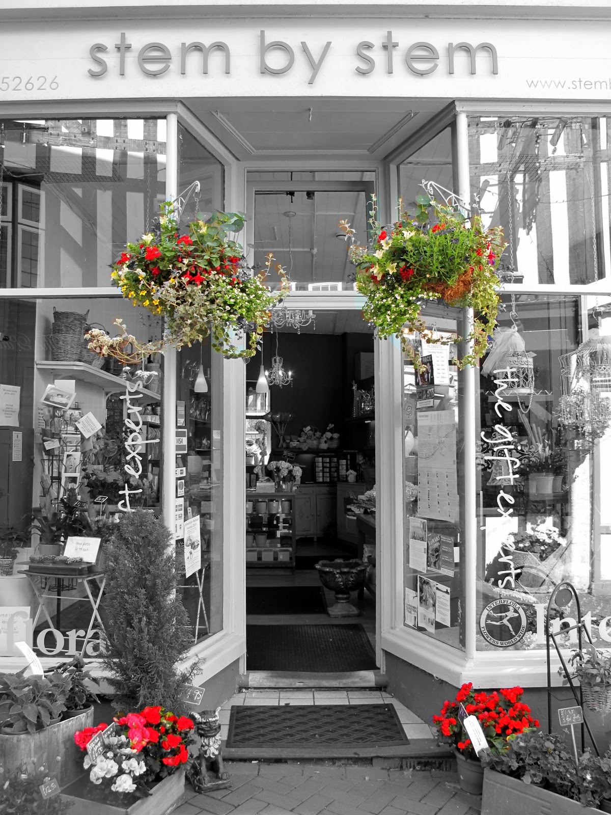 SARAH 2011.....a photo now and then ! The Flower Shop