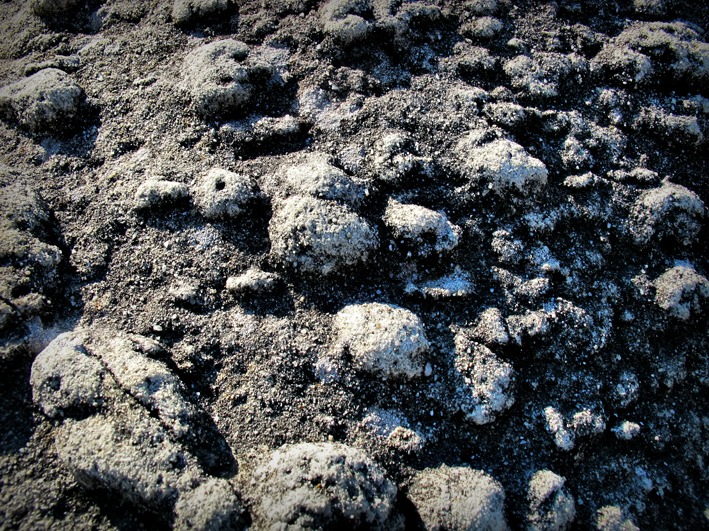 Photographis: Romanian Trovants - Living Stones