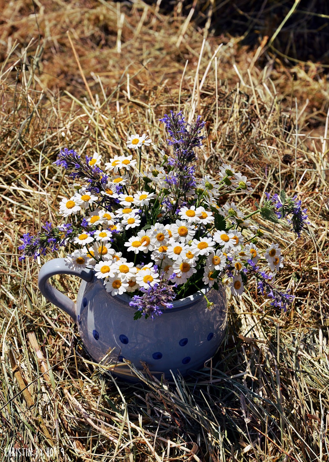 Hof 9 Heuernte Auf Hof 9 Und Der Kranz Im Juni