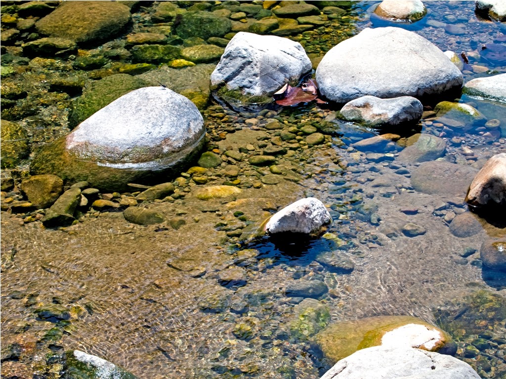 The Ramganga River with Rocks