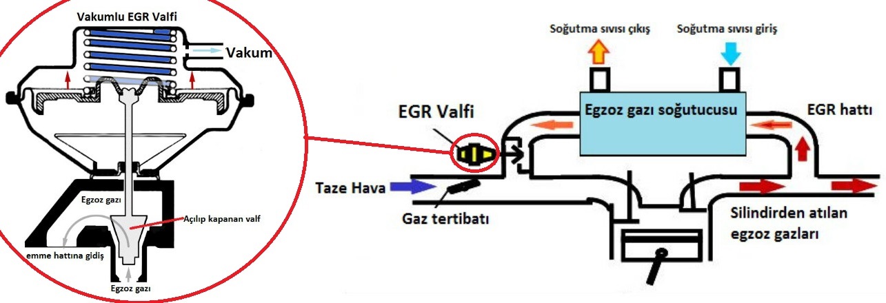Для чего нужен клапан егр. Что такое ЕГР на дизельном двигателе. Система рециркуляции выхлопных газов EGR. Система рециркуляции выхлопных газов дизельного двигателя. Рециркуляция отработавших газов в бензиновых двигателях.