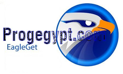 تحميل برنامج EagleGet للويندوزلتحميل الملفات من الانترنت مجاناً تحميل برنامج EagleGet للويندوزلتحميل الملفات من الانترنت مجاناً