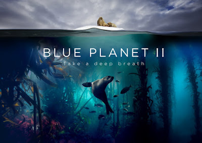 Blue Planet 2 Banner Poster