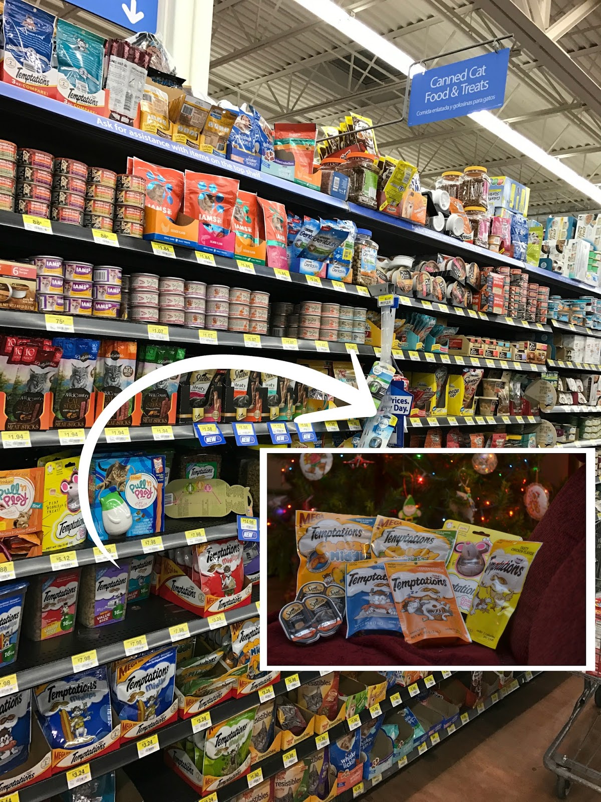 Blessing Box for Cats Animal Shelter Donations Building Our Story