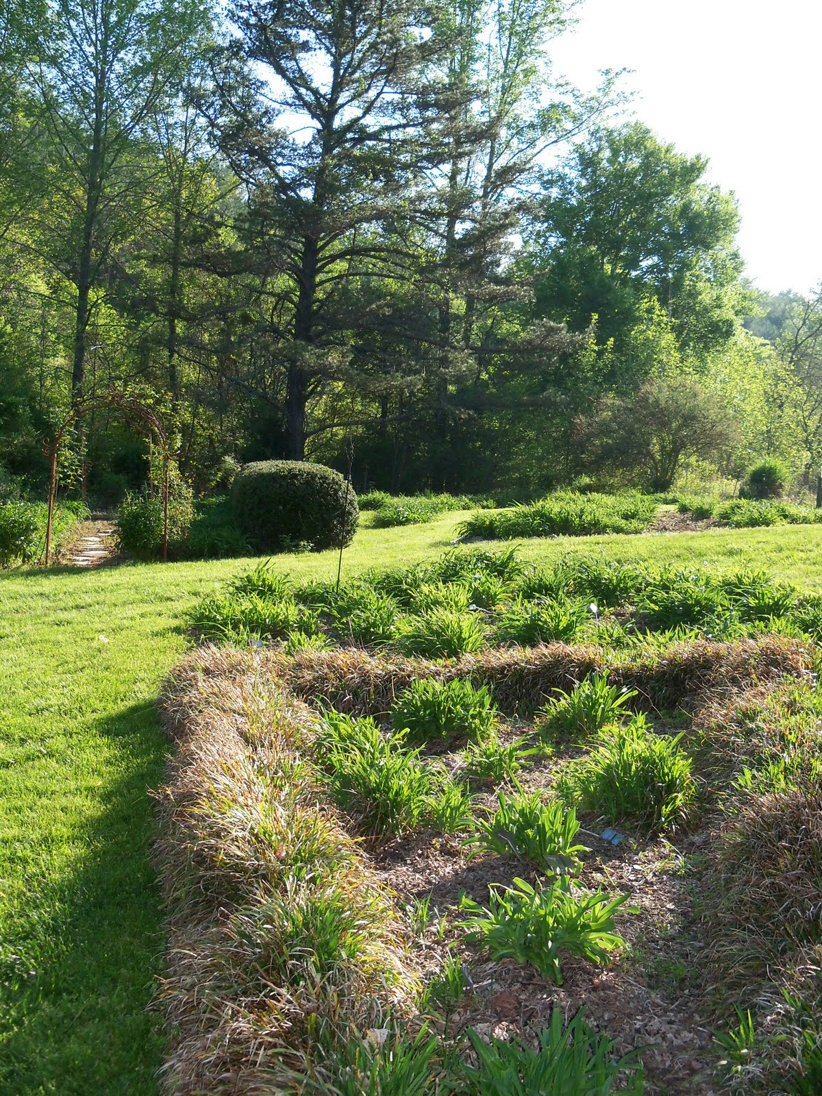 Girl Turns 40 Farm Dinner Millstone Meadows Farm