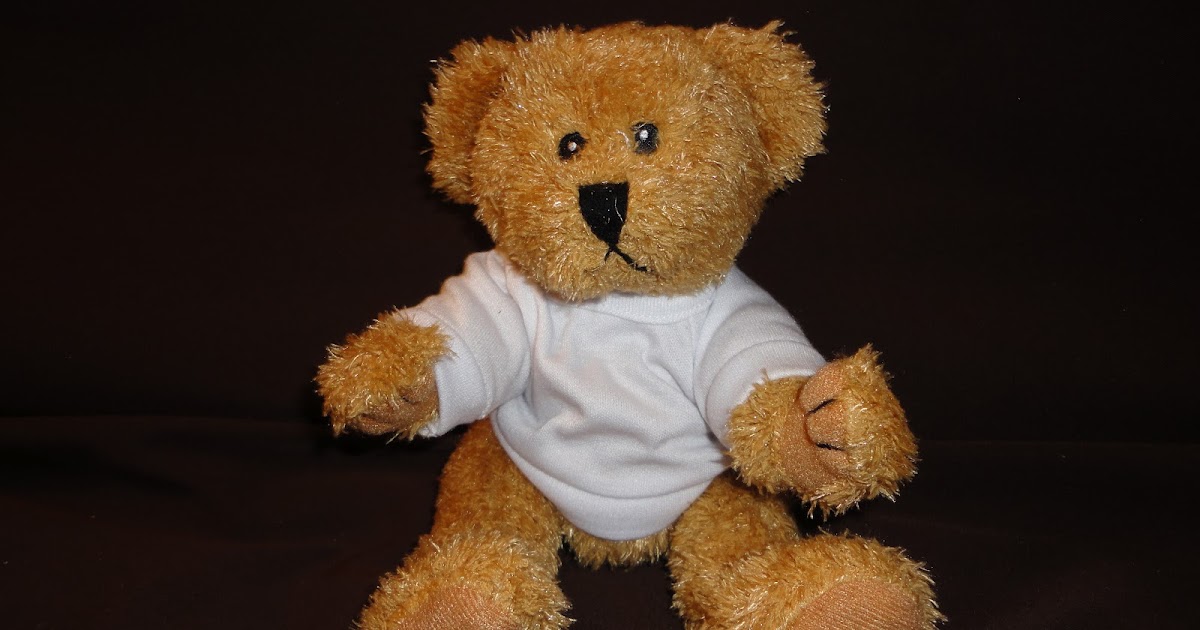 the gift company teddy bear