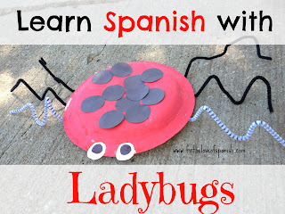 Learn Spanish with Ladybugs // Las mariquitas y sus colores