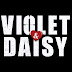 Trailer y nuevo poster de la película "Violet & Daisy"