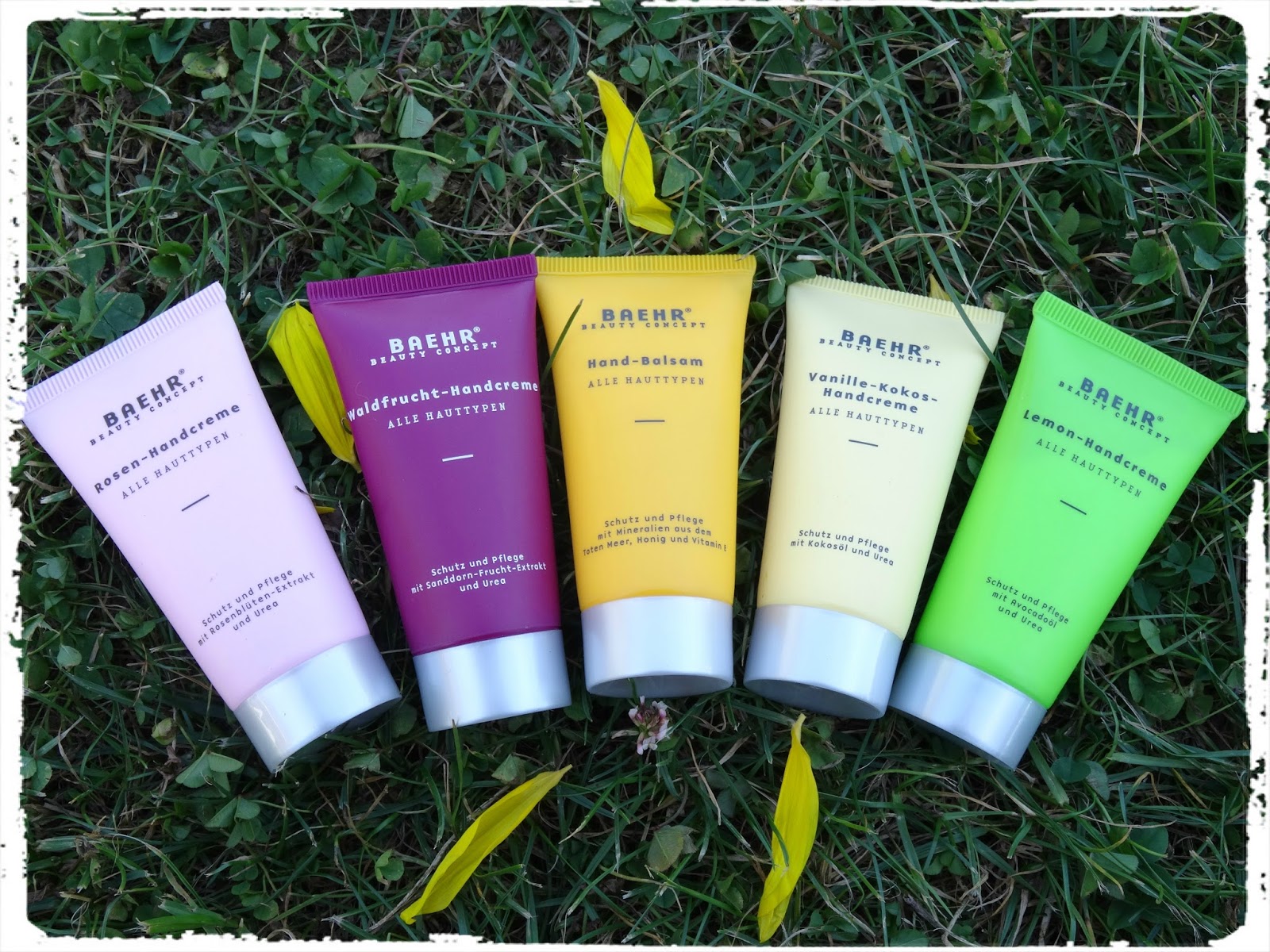 Regensburger Tagebuch