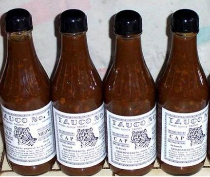 Mikrobakter atau Bakteri