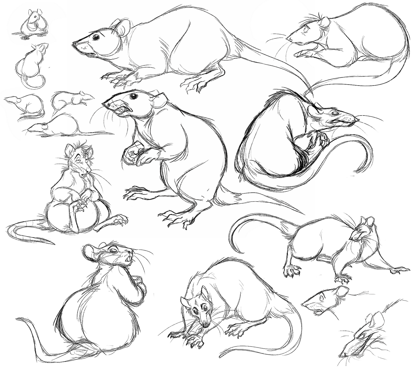 Emone drawing things rats