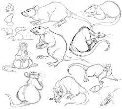 rat drawing rats drawings anatomy evil sketches animal draw reference sketch dessin poses simple ratas emone sketching animales learn zeichnen