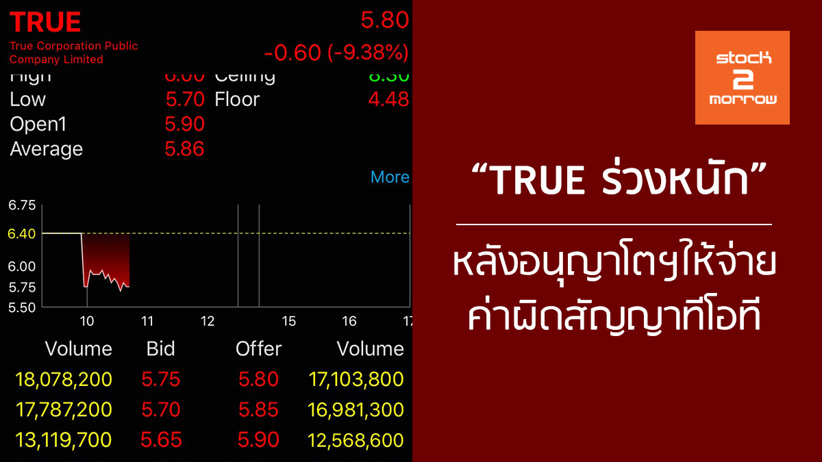 1663_s2m-standard-banner-06.jpg