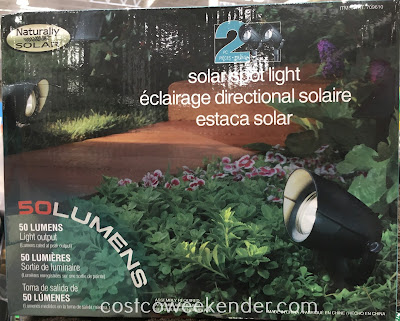 Highlight and illuminate your house with Naturally Solar Spot Lights