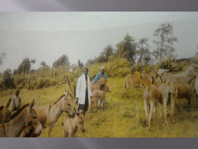 FAWCAM advocates Animal protection legislation in Cameroon