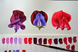 sweet pea painting kowalski krzysztof