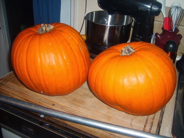 Funky Frugal Mommy Pumpkin Bird Feeder And Guest Post Swap