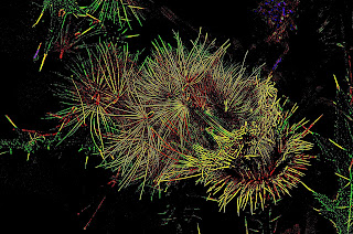 Distel, Thistle, chardon, cardos, cardi, một loại cây gai, bogáncs, ohdake, cardo, oset, bodliak, osat, distels, Thistles, репеи, tidsler, Ohdakkeet, chardons, Distel, Thistle, chardon, cardos, cardi, một loại cây gai, bogáncs, ohdake, cardo, oset, bodliak, osat, distels, Thistles, репеи, tidsler, Ohdakkeet, chardons,