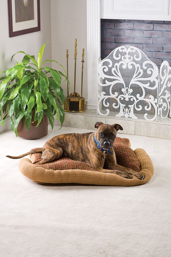 This crochet DIY dog bed is perfect for your pup in front of the fire 