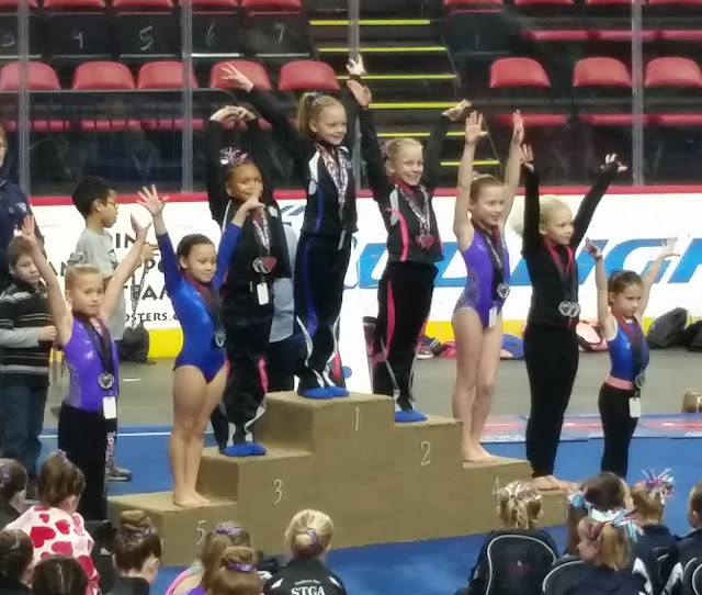 Our Gymnast -- How Did I Get Here? My Amazing Genealogy Journey