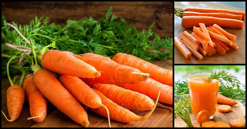 Help Fight Leukemia With Carrots | Dr Farrah MD