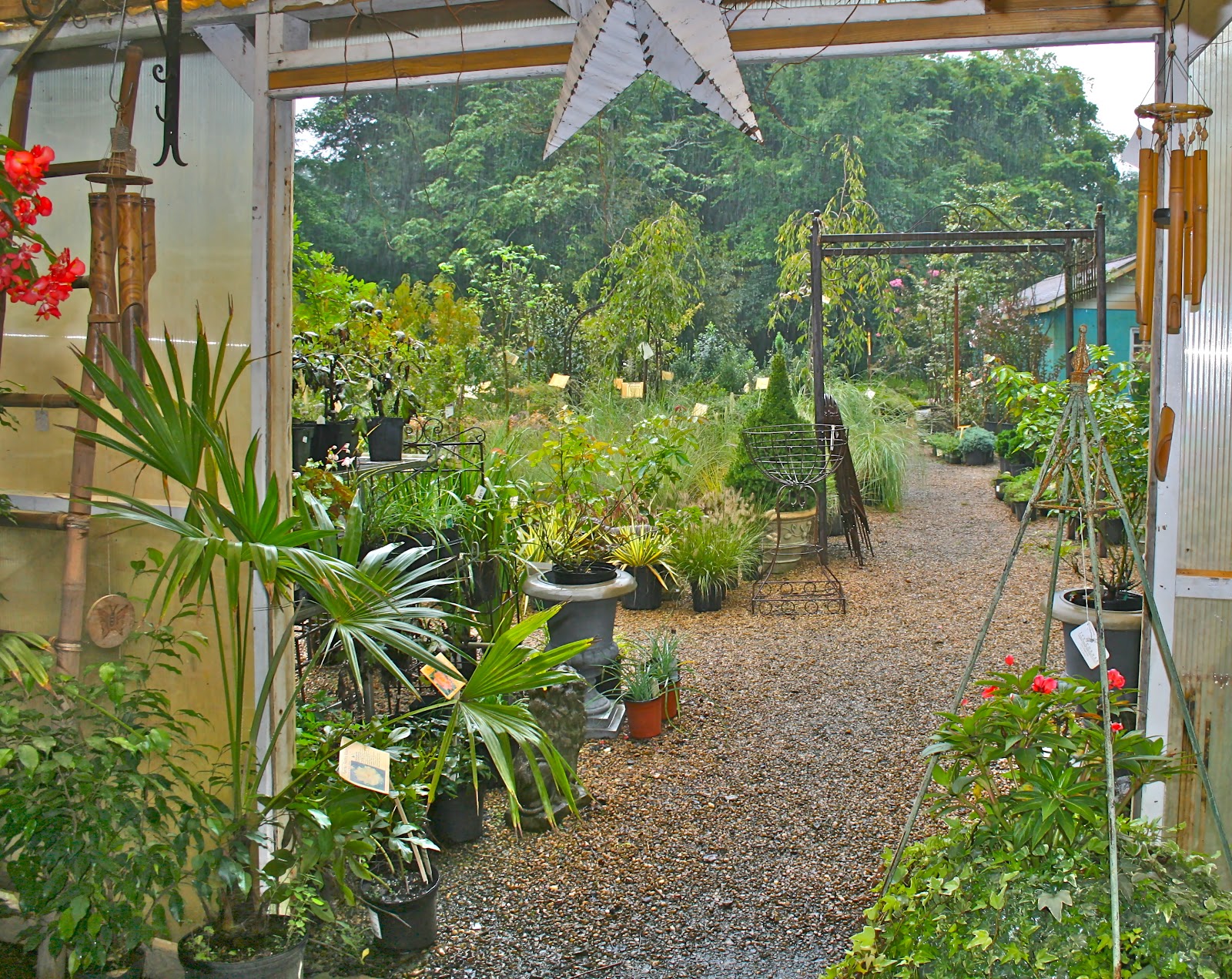 A Tiny Homestead Ivy Corner Garden Center
