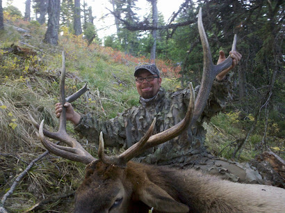 bull elk