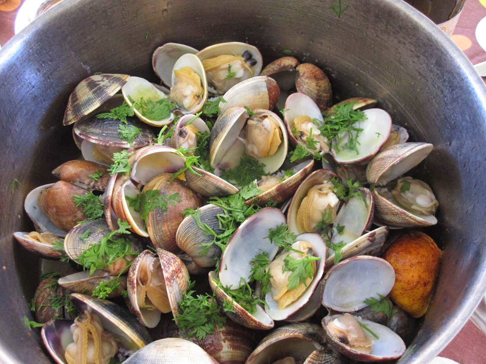 Receitas Especiais Ameijoa à Bulhão Pato