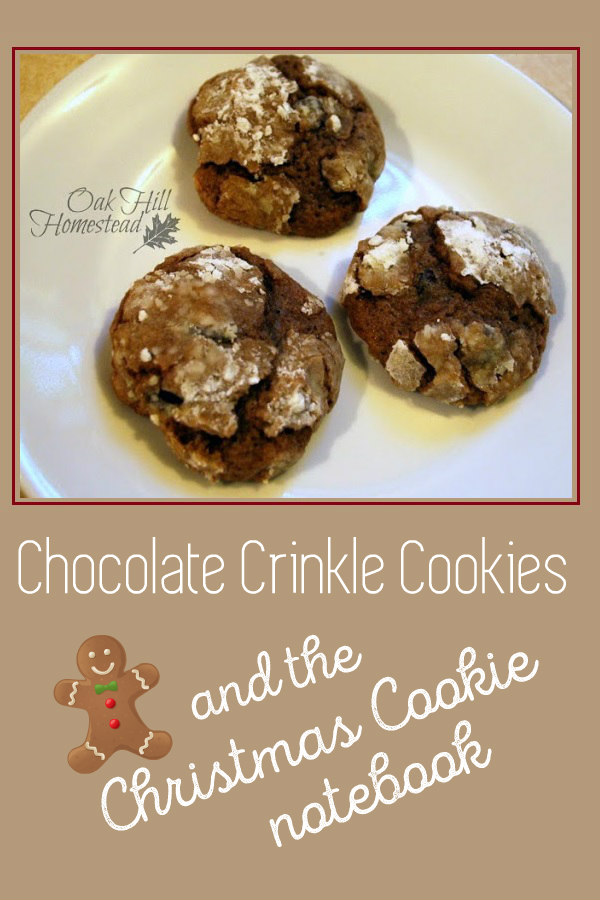 Christmas recipes allrecipes cookie shortbread raspberry thumbprints Chocolate Crinkle Cookies and the Christmas Cookie Notebook - Oak Hill